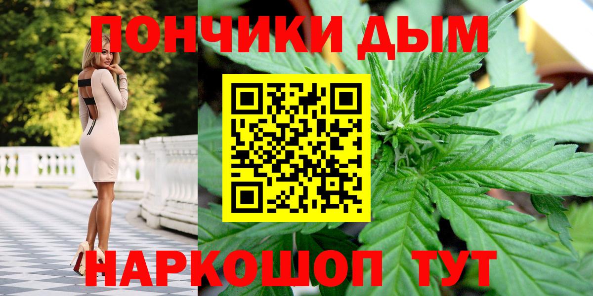 Шишки марихуана семена Канаш